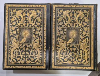 Nuevo diccionario ilustrado de la lengua española