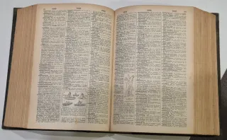 Nuevo diccionario ilustrado de la lengua española