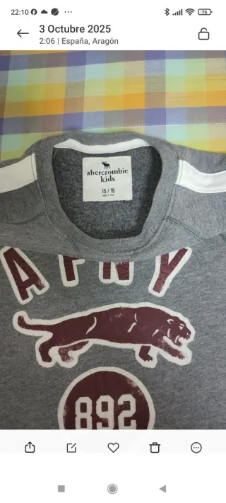 Sudadera gris  chico joven " Abercrombie & Fitch"