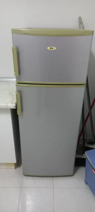 Frigorífico económico gris