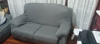 Sofá de 2 plazas con funda gris