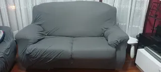Sofá de 2 plazas con funda gris