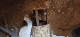 Tornillo sinfín para cereales