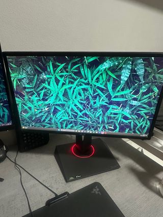 Monitor Gaming Asus