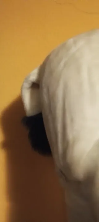 Vaca gigante de peluche