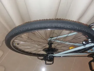 Bicicleta Riverside 120 Verde Pastel