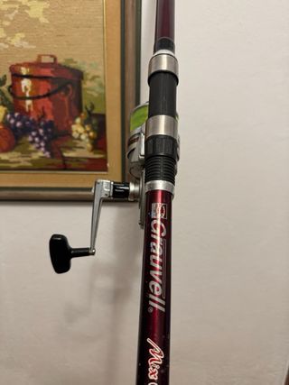 Carrete Daiwa GS9 Plata y Caña Grauvell