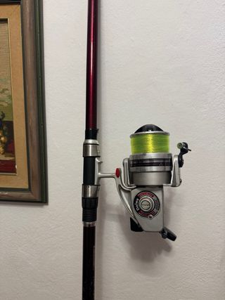 Carrete Daiwa GS9 Plata y Caña Grauvell