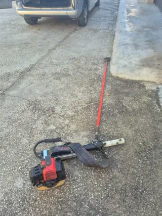 Máquina vibradora aceitunas