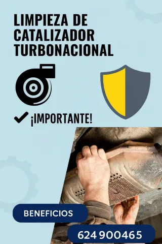 Limpieza de catalizador