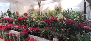 CASA EN PLANTA BAJA CON  TERRAZA , PATIO YNEGOCIO