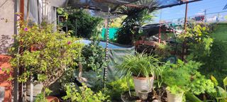 CASA EN PLANTA BAJA CON  TERRAZA , PATIO YNEGOCIO