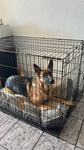 Jaula grande para perros