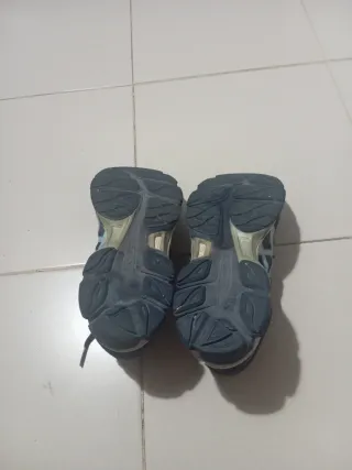 Zapatillas Asics Azul y Rosa