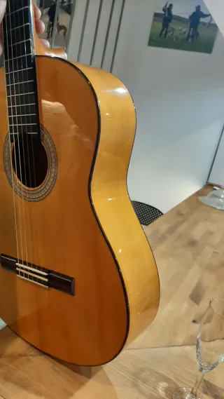 Guitarra Flamenca Javier Castaño
