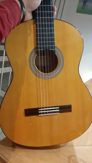 Guitarra Flamenca Javier Castaño