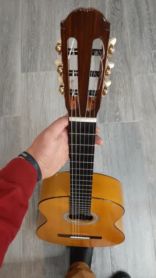 Guitarra Flamenca Javier Castaño