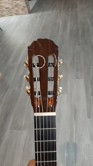 Guitarra Flamenca Javier Castaño