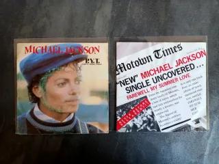 Michael Jackson y Jackson 5 lote 10 discos vinilo