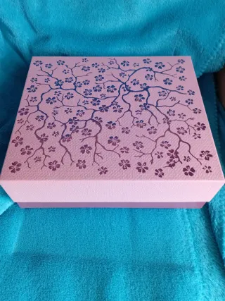 Robot Juguete con Mando