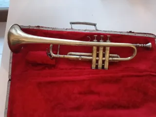 Tromba antica del XIX secolo Prezzo trattabile