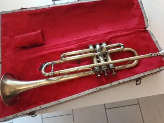 Tromba antica del XIX secolo Prezzo trattabile