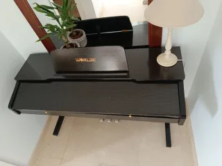 Piano Digital WORLDE 88 Teclas