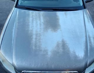 Asiento delantero izquierdo audi a4 berlina 352987