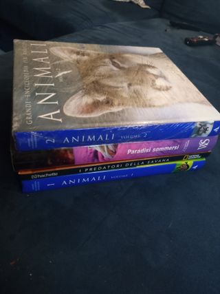 lotto 4 libri animali