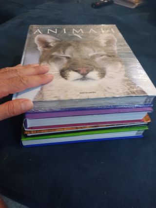 lotto 4 libri animali