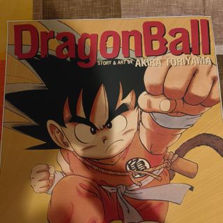 Tela Goku Tao Pai Pai Dragon Ball Poster Tecido