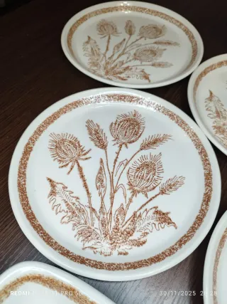 Vajilla Vintage 6 Platos Llanos y Bandeja