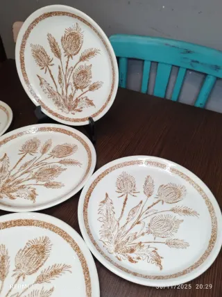 Vajilla Vintage 6 Platos Llanos y Bandeja