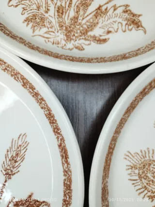 Vajilla Vintage 6 Platos Llanos y Bandeja