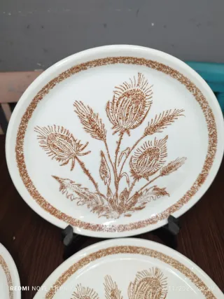 Vajilla Vintage 6 Platos Llanos y Bandeja