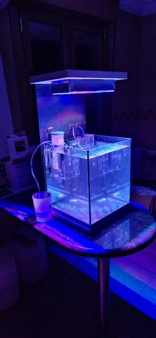 Nano acuario marino 30L