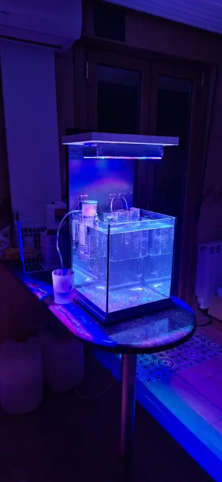 Nano acuario marino 30L