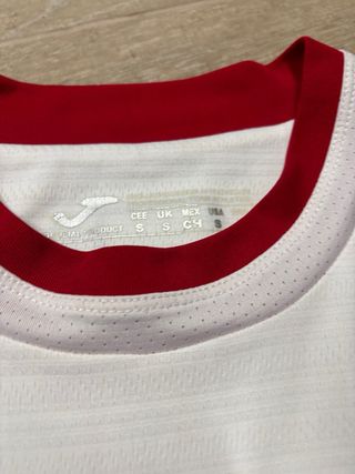 Camiseta Eibar Match Worn Joma