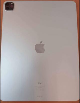 iPad Pro 12.9 4ª Gen Plata