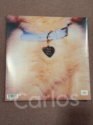 Vinilo Sabrina - Man's Best Friend