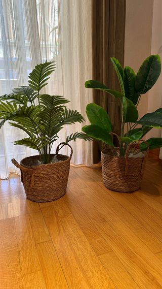 Planta Artificial Decorativa