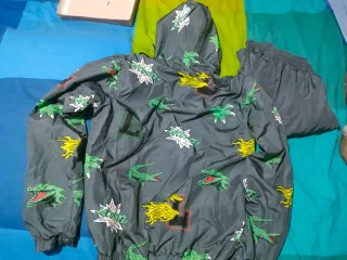 Chándal Lacoste Gris y Verde