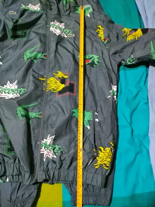 Chándal Lacoste Gris y Verde