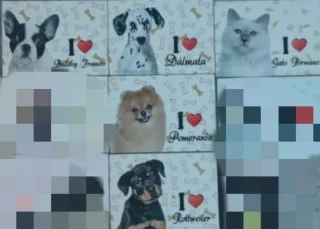 Lote para Óscar de 5 imanes