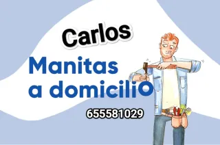 Manitas a domicilios #655581029