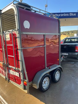 remolque van de caballos