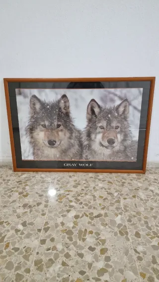 Cuadro Lobo Gris Vintage 1994