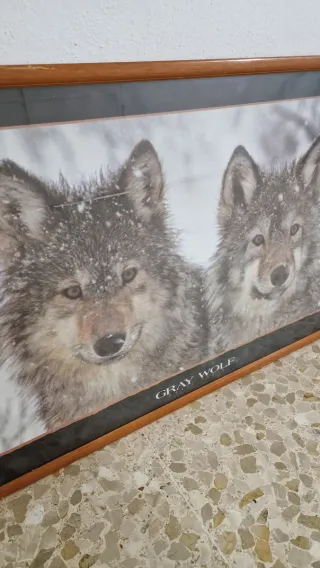 Cuadro Lobo Gris Vintage 1994