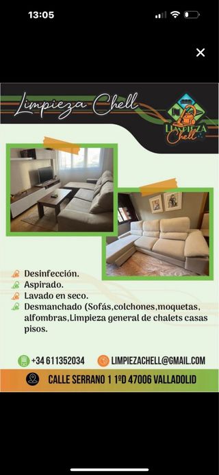 limpieza de tapicerías alfombras sofás colchones (