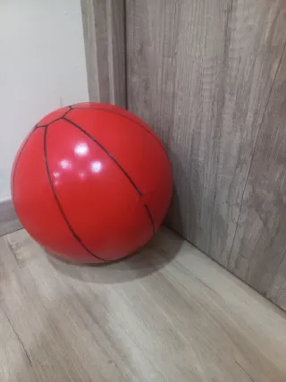 BALON MEDICINAL CON BOTE 5KG